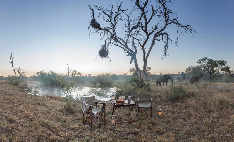 Kings Camp, Timbavati Game Reserve, South Africa