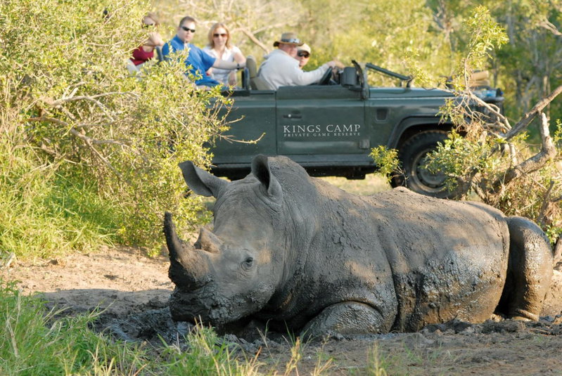 Kings Camp, Timbavati Game Reserve, South Africa