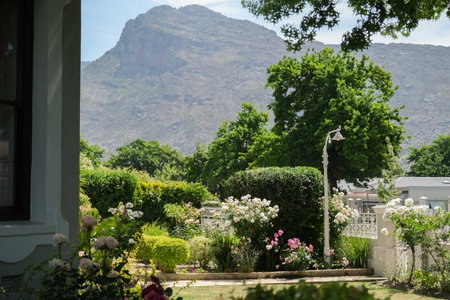 The Olive Tree, Ceres, South Africa