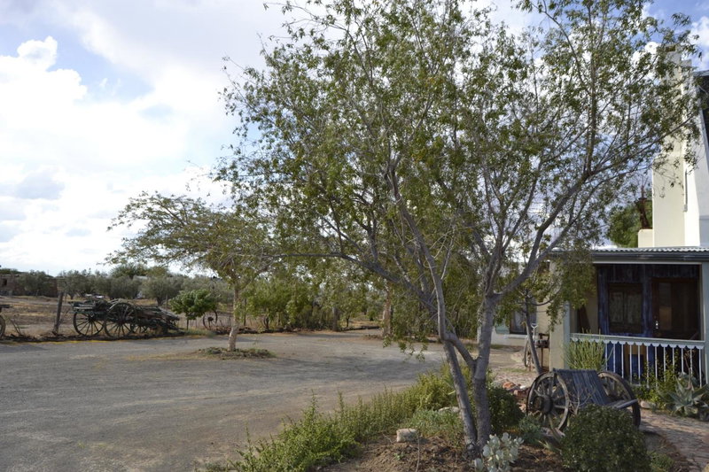 Aloe Guest House, Prince Albert, South Africa