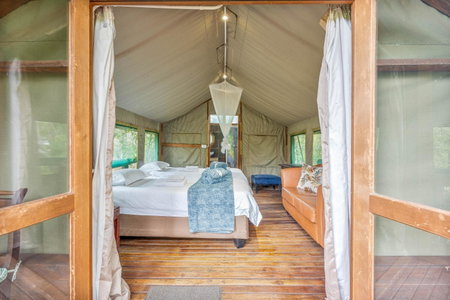 Ndzhaka Tented Camp, Manyeleti Game Reserve, South Africa