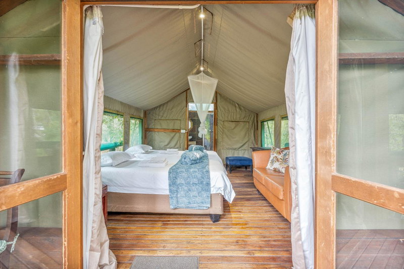 Ndzhaka Tented Camp, Manyeleti Game Reserve, South Africa