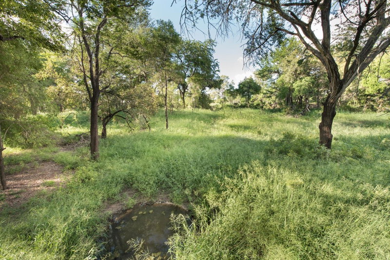 Ndzhaka Tented Camp, Manyeleti Game Reserve, South Africa