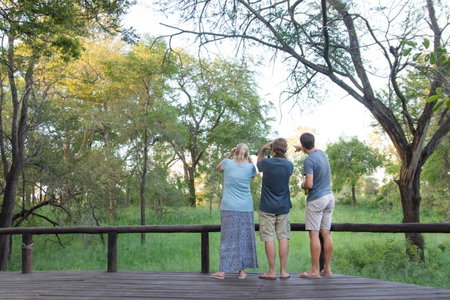 Ndzhaka Tented Camp, Manyeleti Game Reserve, South Africa