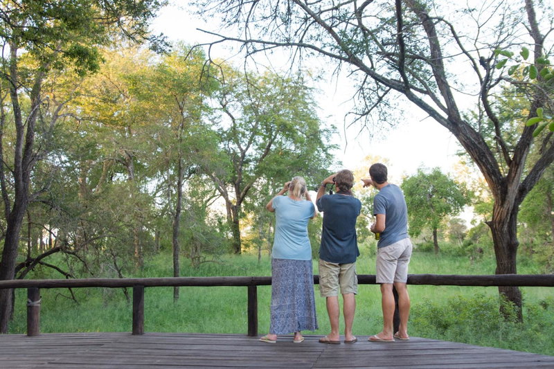 Ndzhaka Tented Camp, Manyeleti Game Reserve, South Africa