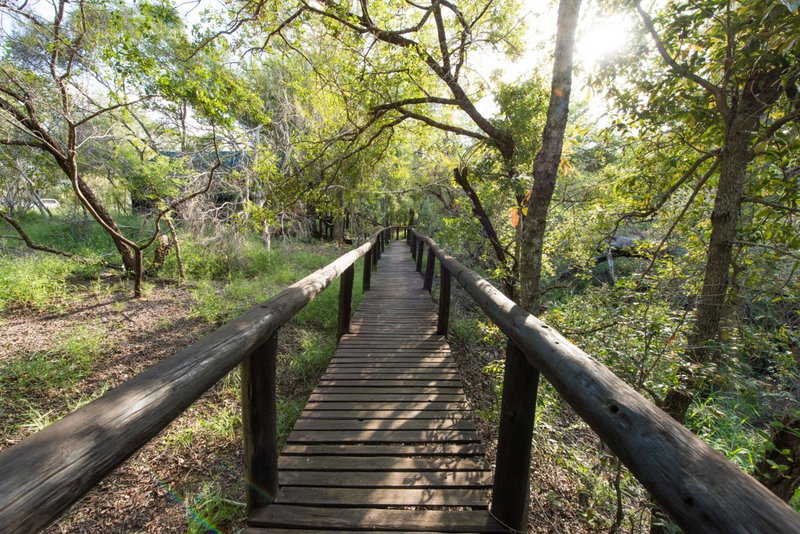 Ndzhaka Tented Camp, Manyeleti Game Reserve, South Africa