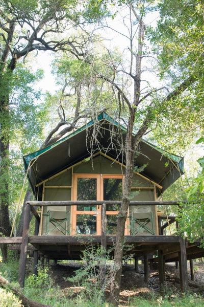 Ndzhaka Tented Camp, Manyeleti Game Reserve, South Africa