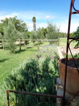 Hartland Garden Suite, Oudtshoorn, South Africa