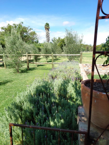 Hartland Garden Suite, Oudtshoorn, South Africa
