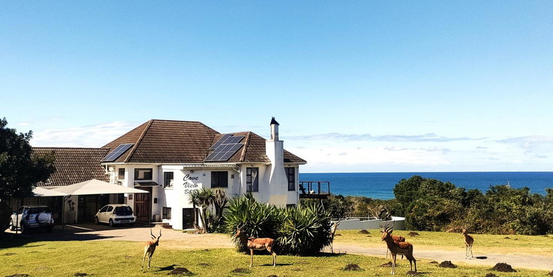 Cove View B&B, East London, South Africa