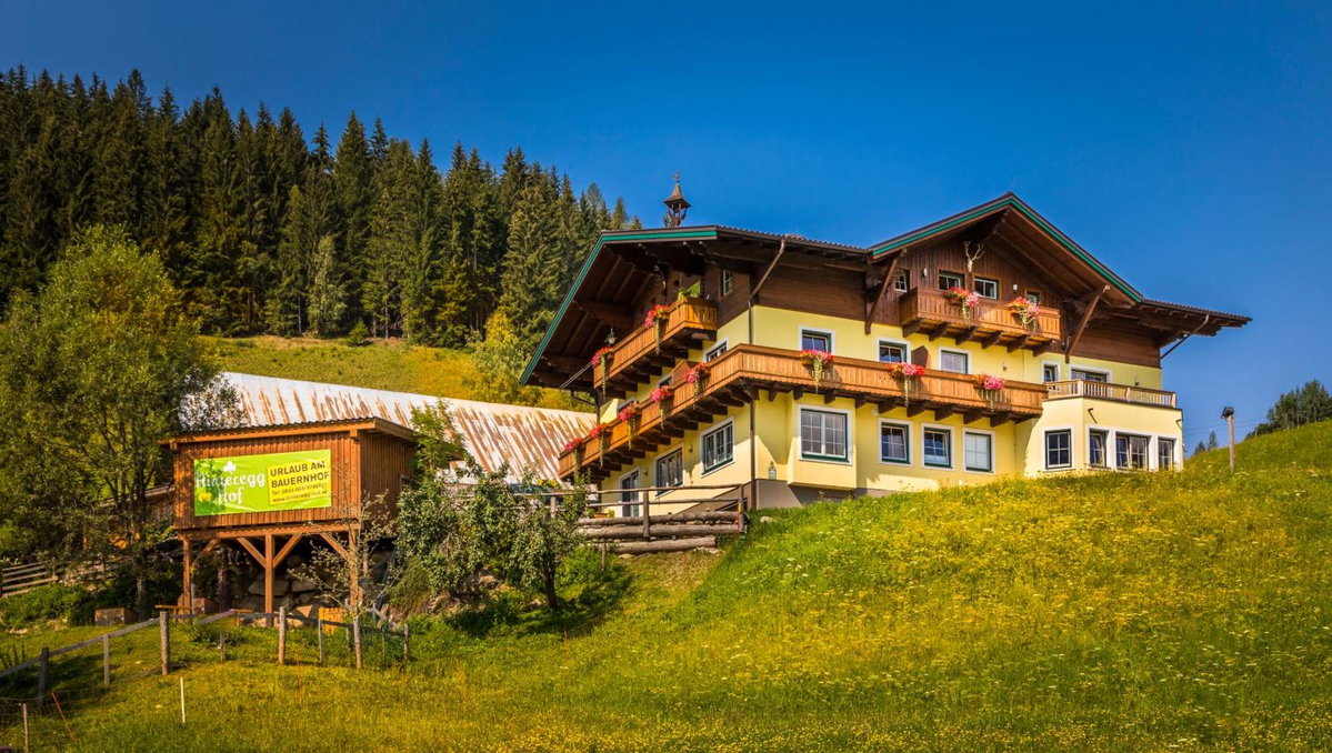 Hotel · Hinteregghof, Forstau