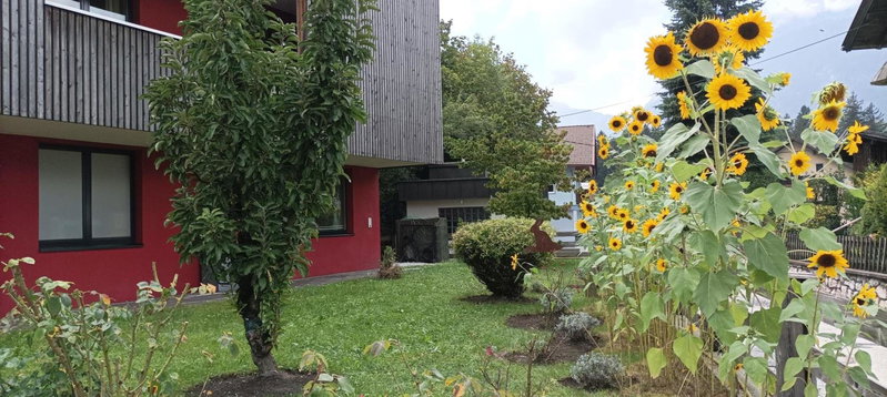 INN-Studio Ursula, Brixlegg, Austria