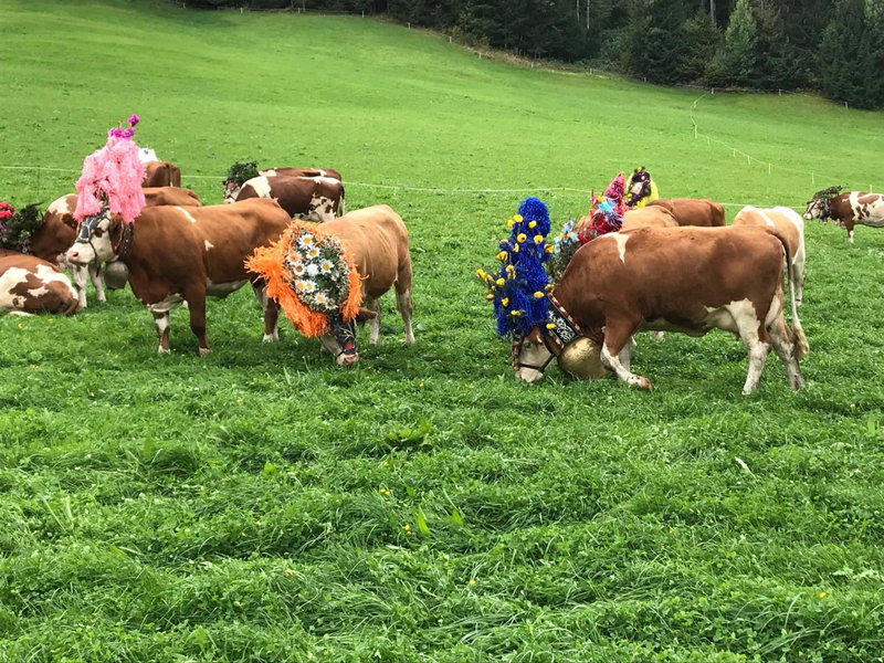 Au Pension, Söll, Austria
