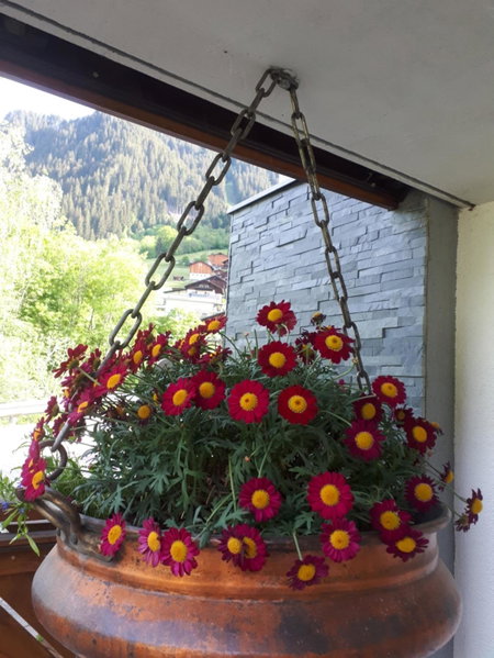 Haus Gabriele, Gaschurn, Austria