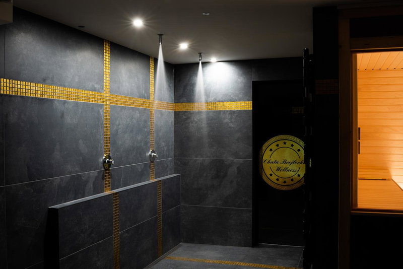 Wellness Chata Brejlovka, Janov nad Nisou, Czechia