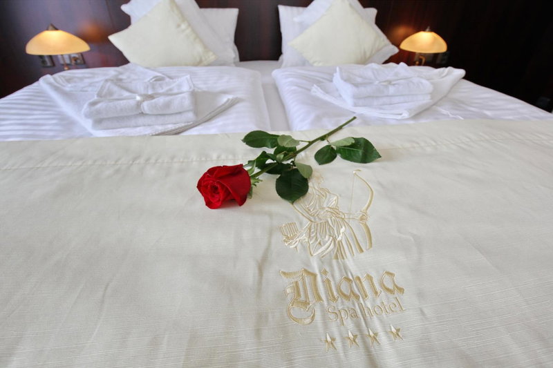 Spa Hotel Diana, Františkovy Lázně, Czechia