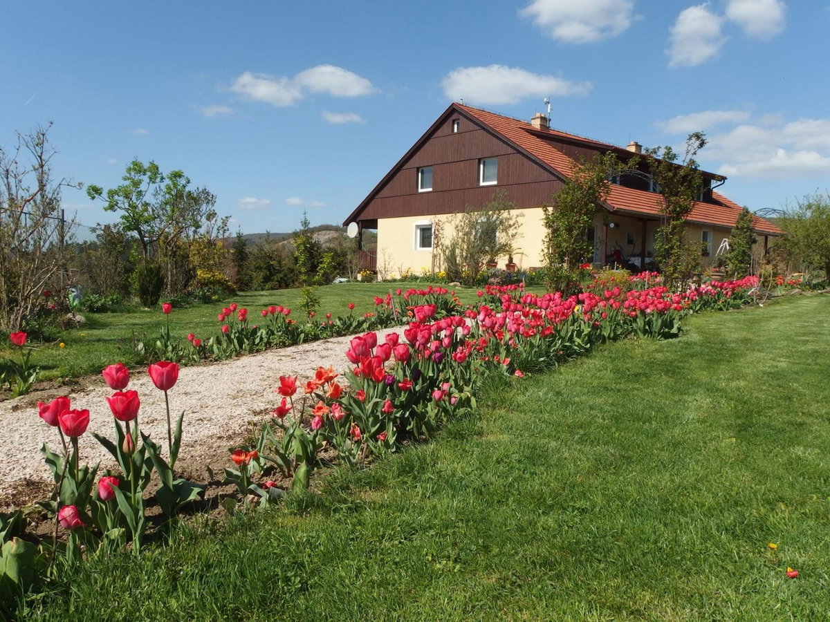 Studio Boroví, Czechia