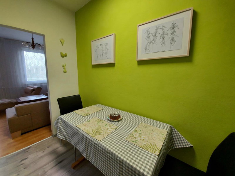 Apartmán Eva - plně vybavený byt - Týn nad Vltavou, Týn nad Vltavou, Czechia