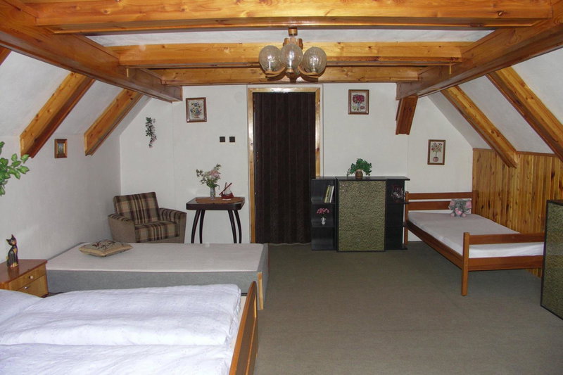 Edy Dum, Svoboda nad Úpou, Czechia