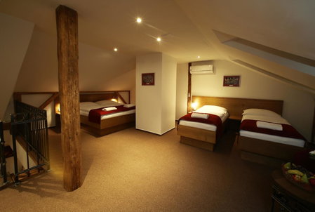 Apartments & Suites Žlutá Hruška, Plzeň, Czechia