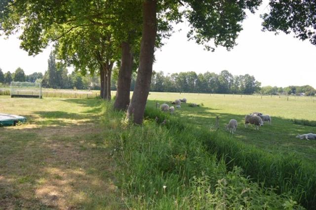 Residentie De Hoek, Den Dungen, The Netherlands