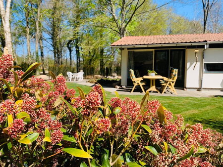 Bungalow 72, Exloo, The Netherlands