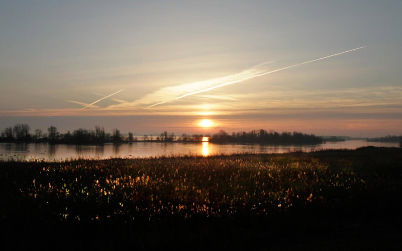 De Vooroever, Wervershoof, The Netherlands