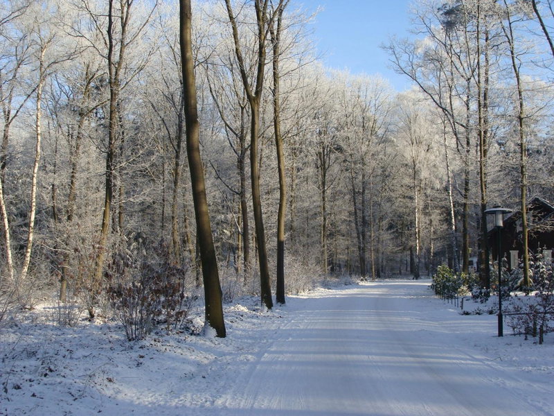 52 Horalaan, Bennekom, The Netherlands