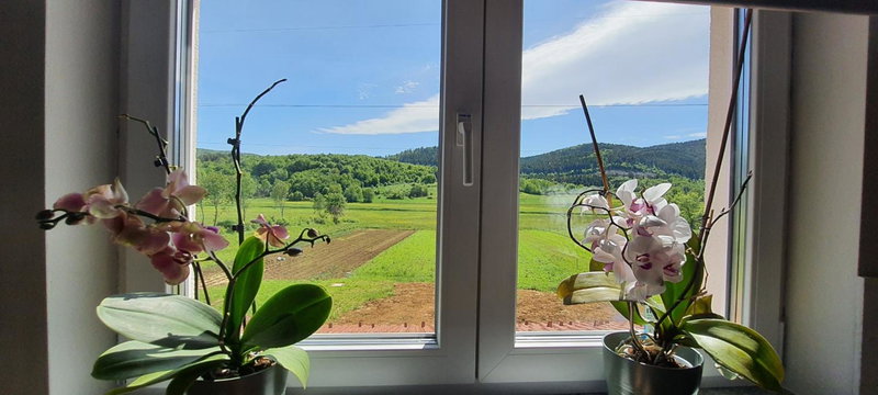 Apartmani Fenestra Tesla i Faust, Otočac, Croatia