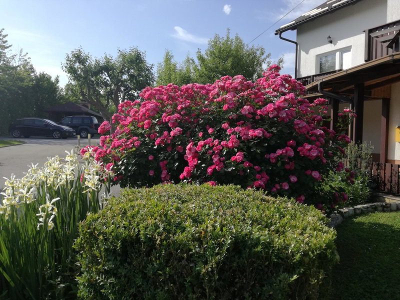 Guesthouse Šebalj, Rakovica, Croatia