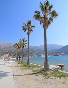 Studio Apartman Karlita, Slano, Croatia
