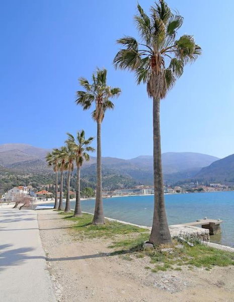 Studio Apartman Karlita, Slano, Croatia