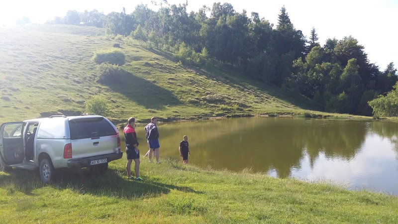 Pensiunea Drumul Voievozilor, Arefu, Romania