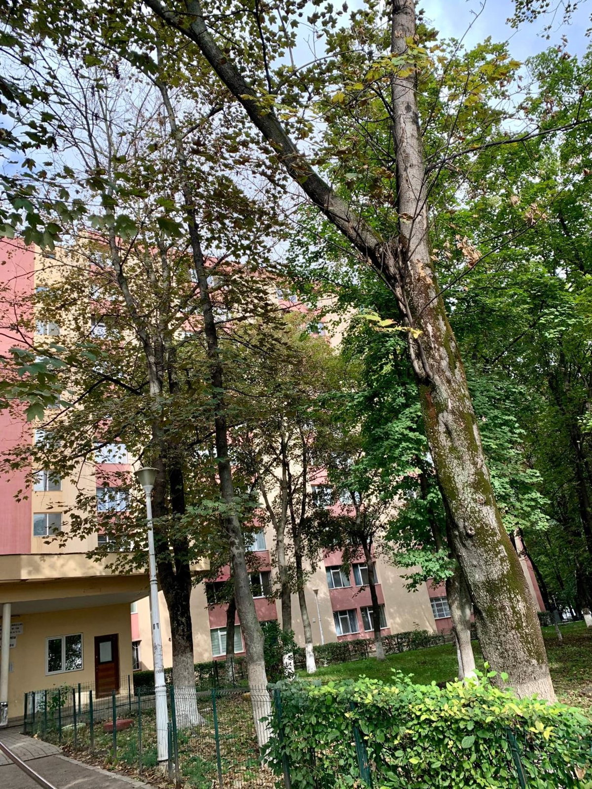 Luand Apartament, Romania