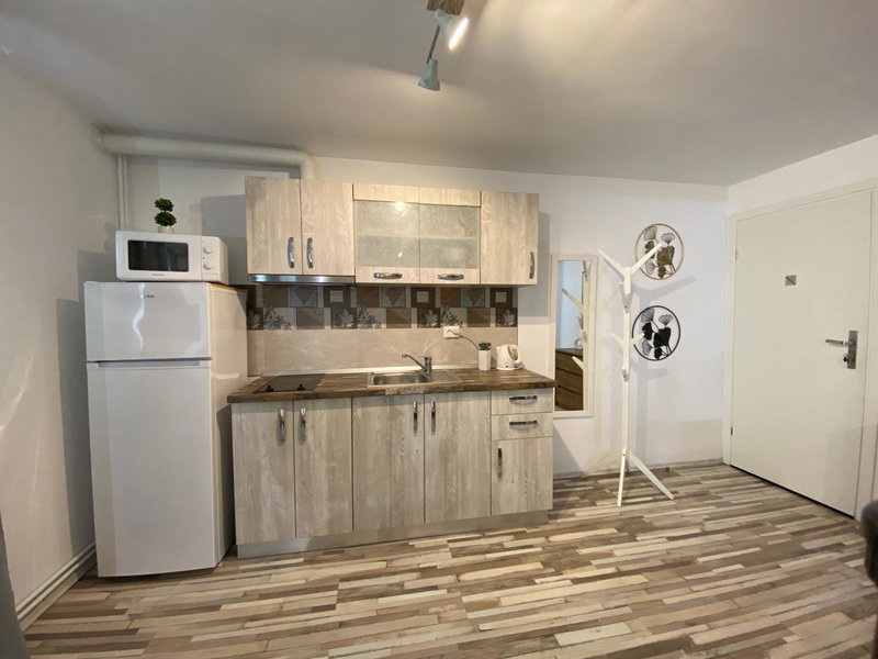 Urseni Studio Apartment, Timişoara, Romania