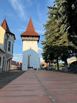 Alexander Cozy Apartment FREE PRIVATE PARKING, Mediaş, Romania