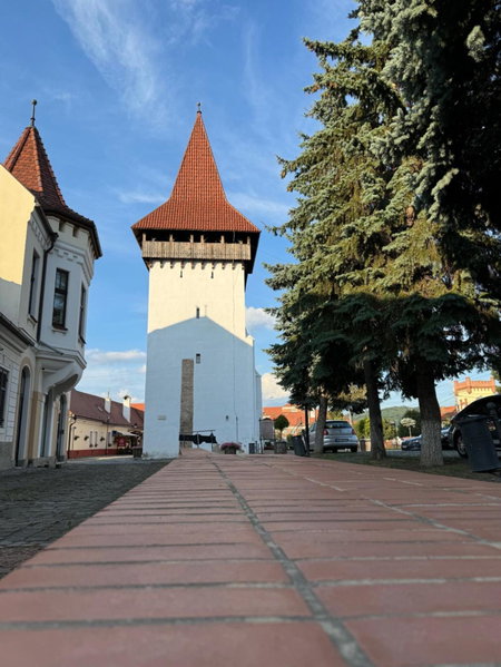 Alexander Cozy Apartment FREE PRIVATE PARKING, Mediaş, Romania