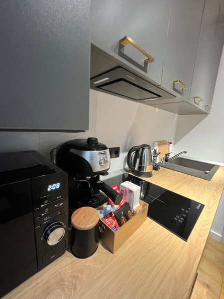 Alexander Cozy Apartment FREE PRIVATE PARKING, Mediaş, Romania