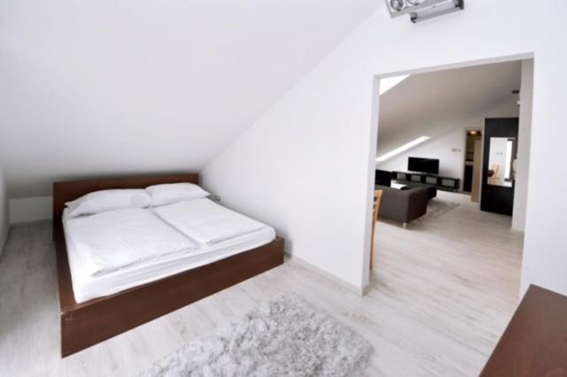 iHome Apartment 2.0, Pécs, Hungary