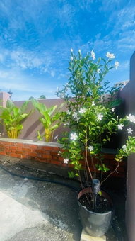 Motel Seri Mutiara, Langkawi, Malaysia