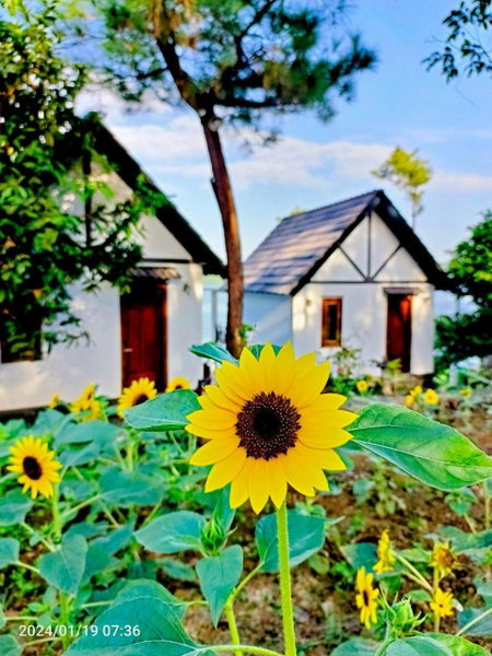 Phu Ninh Lake Resort, Tam Ky, Vietnam