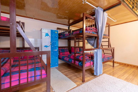 Homestay Vườn Tùng, Da Lat, Vietnam