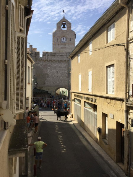 Maison de village Novissime, Noves, France