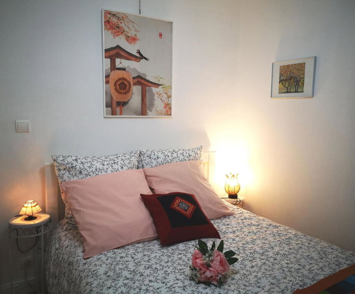 Nice Appartement, Amboise, France