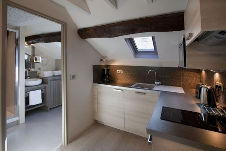 Vign 'appart, Nuits-Saint-Georges, France