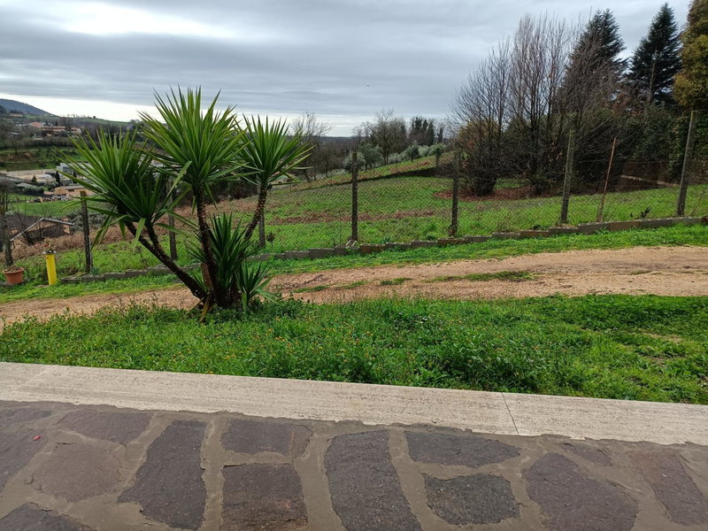 Il Faggio 17 B&B, Artena, Italy
