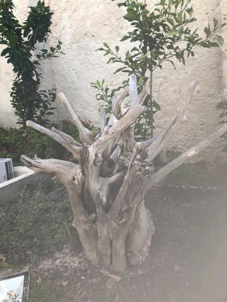 B&B Villa S.Anna, Bari, Italy
