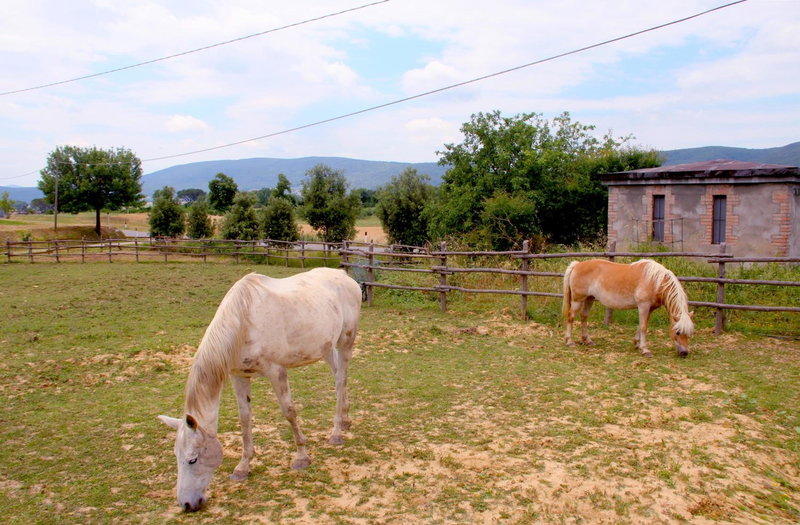 Casa Di Campagna In Toscana, Sovicille, Italy