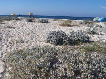 Agriturismo Cuile de Molino, Porto Torres, Italy