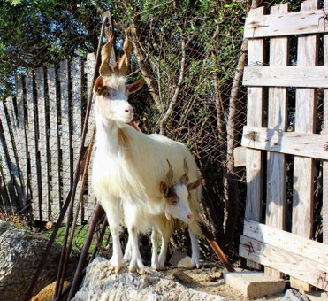 Agriturismo La Casa di Bacco, Agrigento, Italy